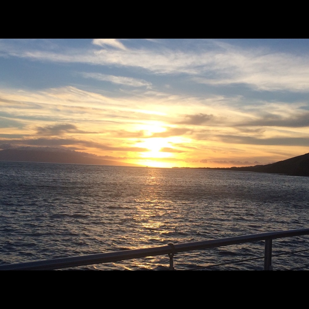 Meet your Posher, Arlene